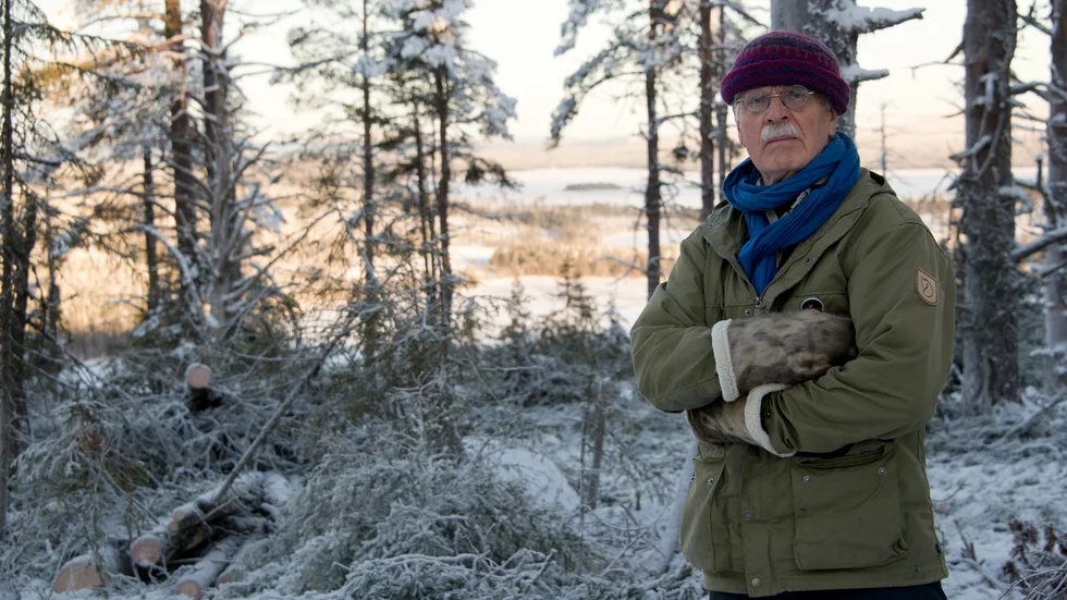 Björn Mildh, som innan pensionen var barnläkare, kallade gammelskogen för sin sista patient och skämtade om att han var specialist i barnaålderns och skogsbrukets invärtes sjukdomar.