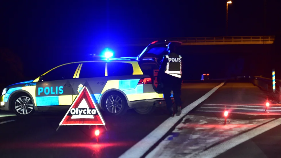 Under tisdagseftermiddagen krockade en personbil med en älg längs med E22.
(Bilden är tagen vid ett annat tillfälle)