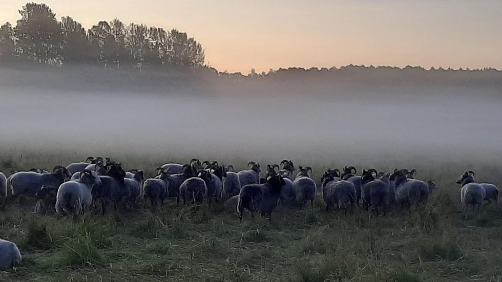Vi bygger inga berg av naturvårdskulder som Naturskyddsföreningen påstår, skriver Anders Söderström och Kent Berg.