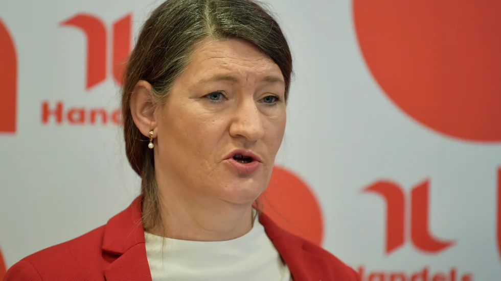 Susanna Gideonsson är uppvuxen i Lycksele kommun i Västerbottens inland. Under 17 år (noga bestämt 1997-2014) bodde hon i Luleå, när hon jobbade som ombudsman för Handels i Norrbotten.