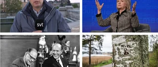 SVT i sitt livs form viktigt för demokratin