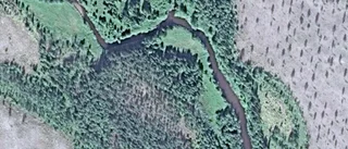Nya ägare till skog i Hakkas
