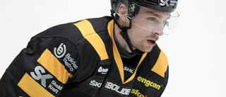 Pettersson presenterad av Brynäs