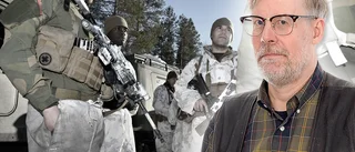 Till det svenska försvarets försvar