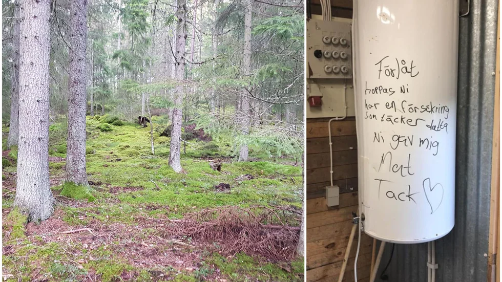 Inbrottstjuven lämnade ett överraskande meddelande i jaktstugan.