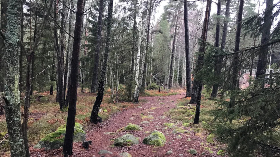 "Trollskogens" naturreservat i Stigtomta ska få en parkeringsplats, är planen.