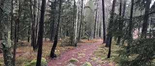 Parkeringsplats till skog med troll på gång – i Stigtomta