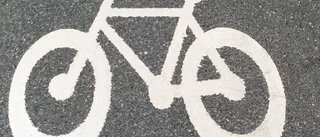 Cykeltjuv konfronterades – och greps av polis