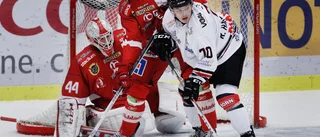 Tog Hästen till allsvenskan – det gör spelarna i dag