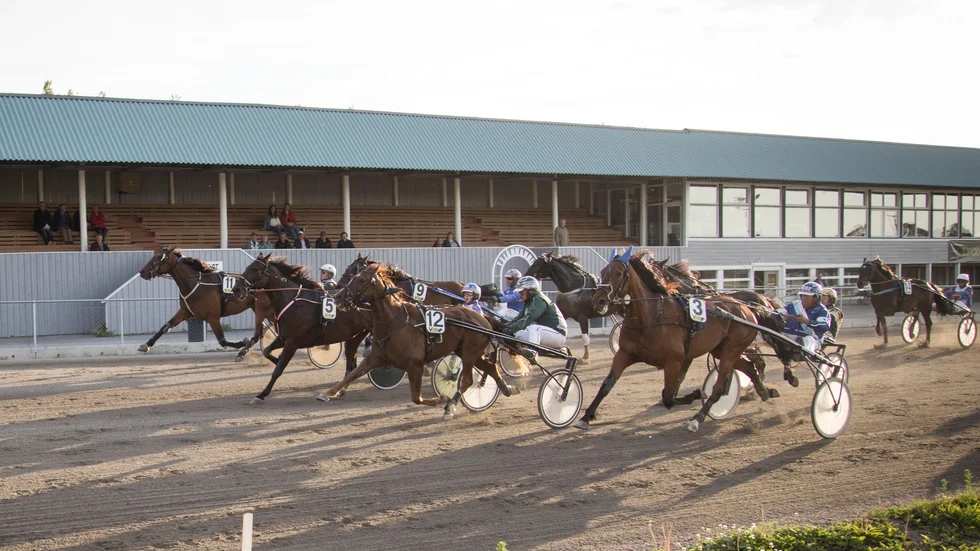 Upploppet i ett av många lopp från fjolåret, vinnare blev nummer 5, Barracuda Bac som tränas av Henrik Hoffman.