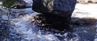 Läsarbilden                   