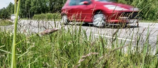 Här är polisens trafikråd inför midsommar