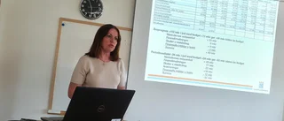 Ingen coronakrasch i sikte för Luleås ekonomi