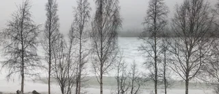 Vädret i dag: Varierad molnighet