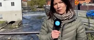 UNT TV: Tomt i ån utan forsränning