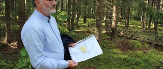 Politiker sade ja till nytt villaområde