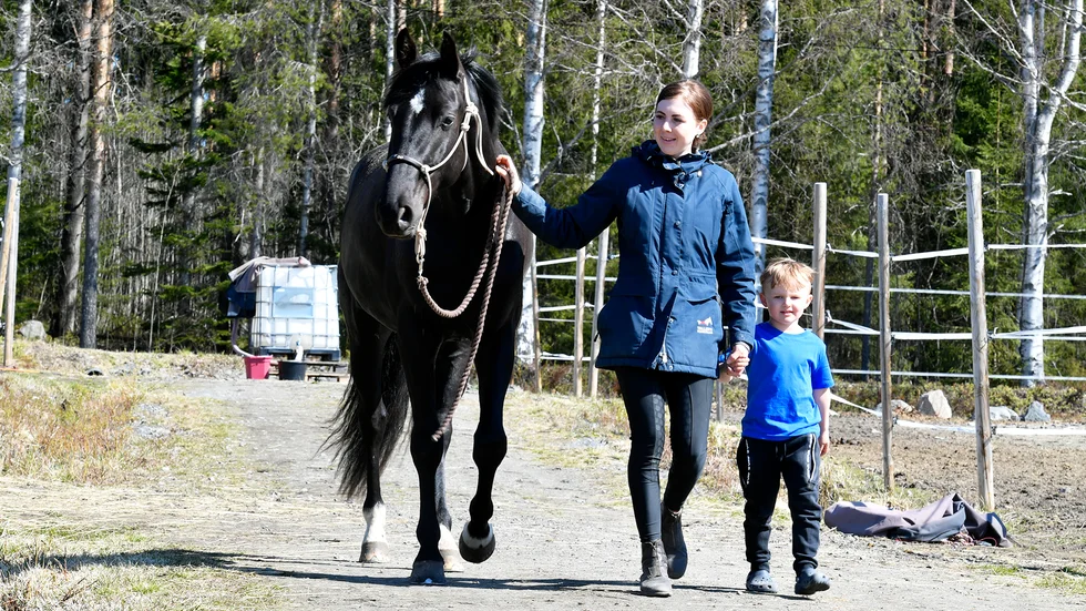 Alexandra och Robin Östlund satsar och bygger manege på gården i Brännan, Kusmark. ”Här har vi ju allt på Wreck it Stables”, säger Alexandra Östlund som går tillsammans med sonen Wilmer och hästen Luna.