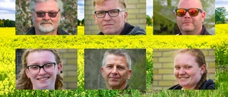 Så tänker de kring pandemin -och om hur det blir sedan 