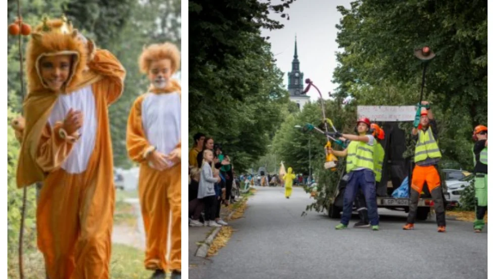 Arkivbild från Hebykarnevalen.