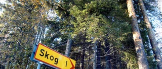 ”Skogs-Nolia” planeras i Överkalix