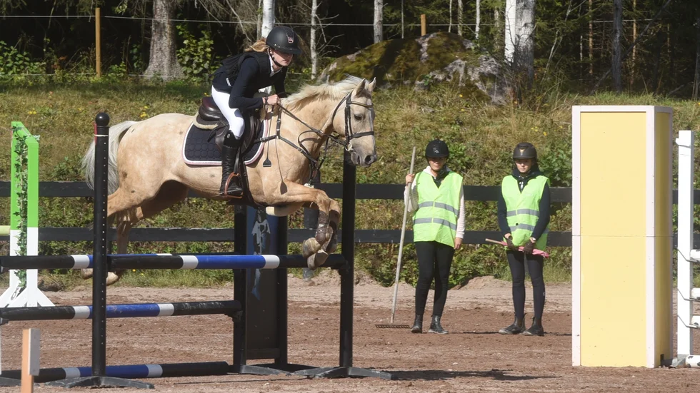 Det blir inget med Lilla Gubben Cup det här året.