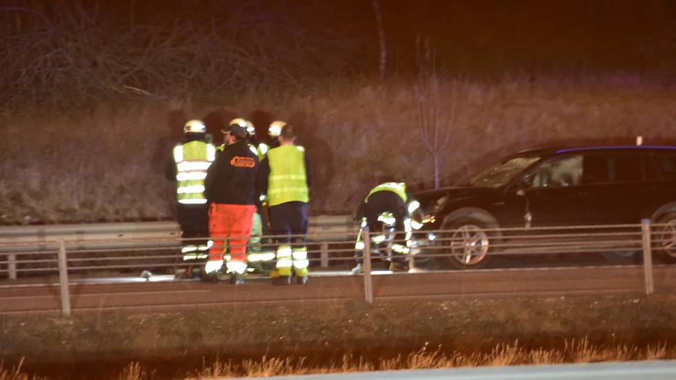 E4 vid Vagnhärad har stängts av efter en trafikolycka med flera älgar iblandade.
