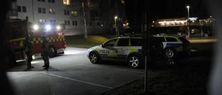 TV: Här bjuder Sirius på dans  