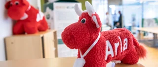 LRF agerar föredömligt, Arla - se och lär