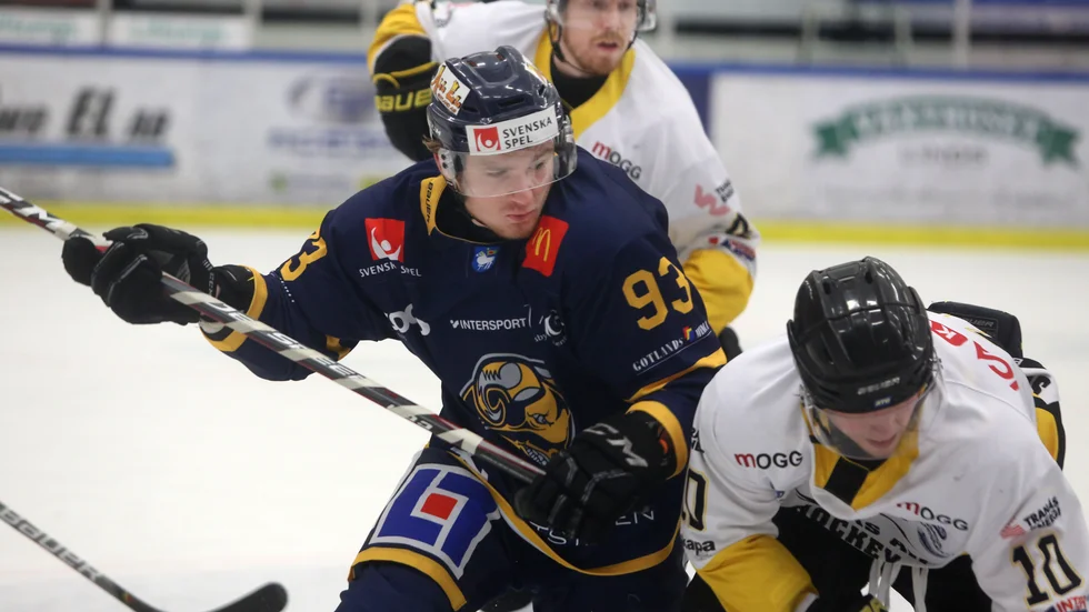 Adrian Elefalk och kompani i Visby Roma ställs mot Lindlöven i playoff 1.