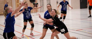 Tränaren: "Det var en viktig poäng"