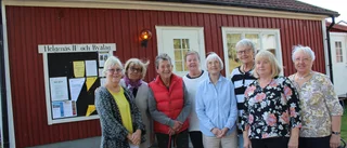 Ta med dina svampar – få hjälp av experterna