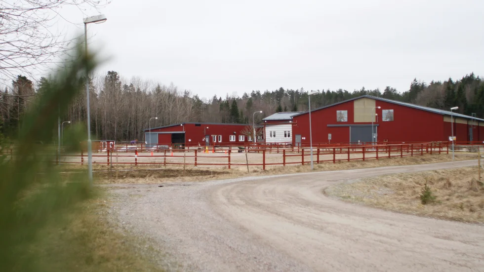Tre hästar i stallet i Malmby testades för det fruktade viruset EHV-1. Provsvaren som kom på torsdagen är glädjande, berättar ridskolechefen Jane Johansson. Bild från 2015.
