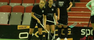Inga DM-finaler i innebandy   