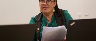 Trots råden om avslag – politiker sa ja till husbygge
