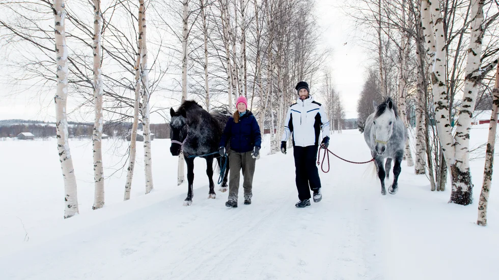 Vännerna Amaretto, Maria Bucht, Alessandro Fullin och Maestoso trivs i lugnets Börjelsbyn. 