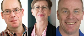 Tre kandidater utsedda – de vill bli universitetets nya rektor