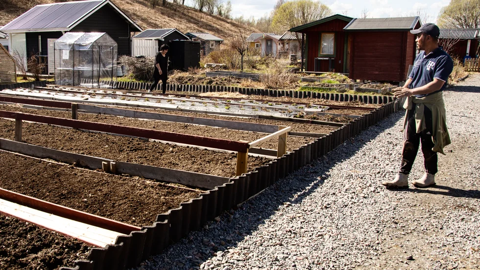 Peng Nawl Kheng Mual blickar ut över odlingsbäddarna som nu äntligen värms upp av solen och börjar bli redo för växter. 