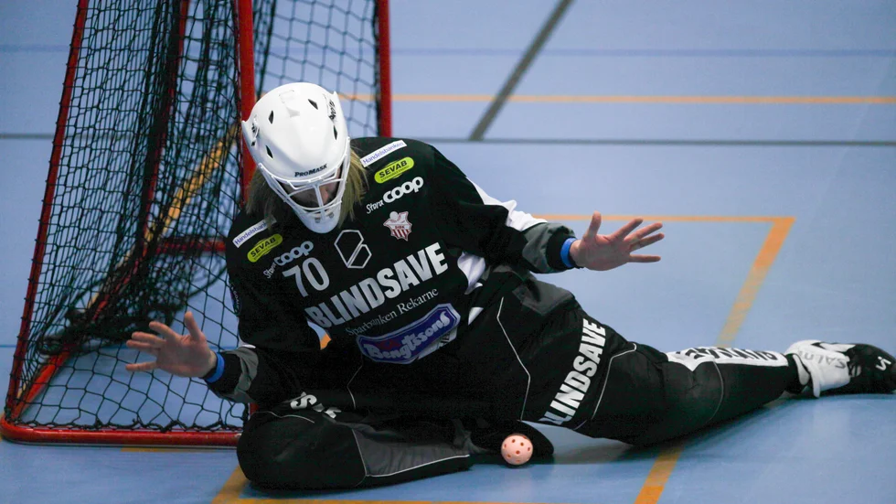 Strängnäs-keepern Wiktor Åkerstedt räddade 28 (!) skott i segern mot Hudik/Björkberg.