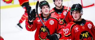 Luleå Hockeys miljonförlust: "Hanterbart"