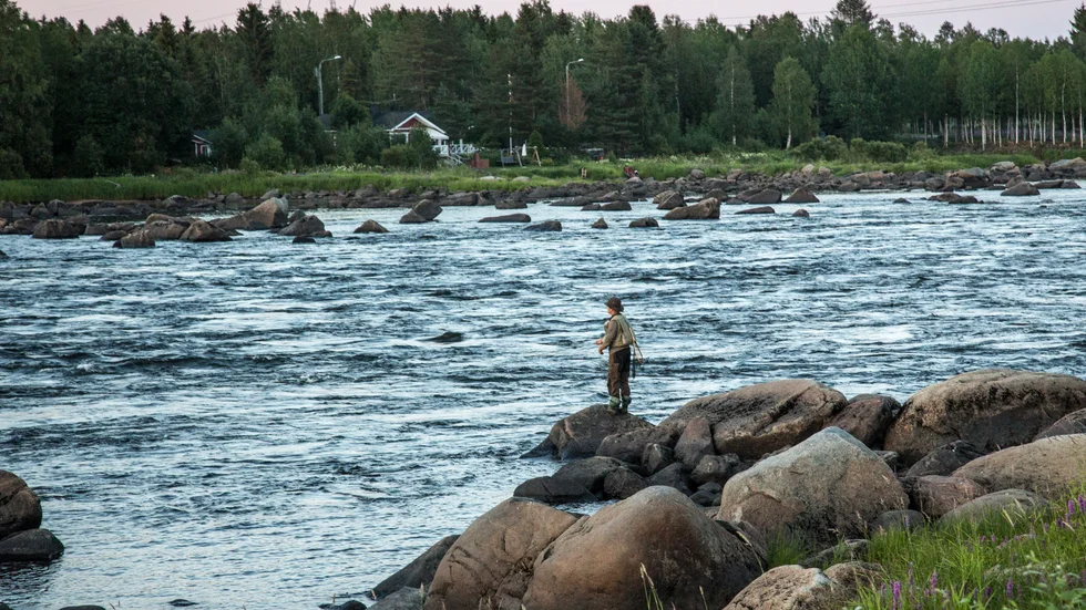De varma vattentemperaturerna stoppar sportfisket på flera håll i landet. Arkivbild.