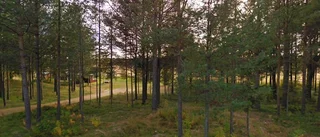 71 kvadratmeter stort hus i Byske sålt för 238 000 kronor