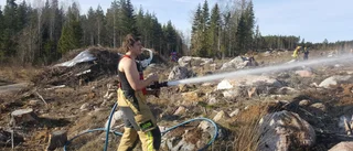 Bekämpade brand på kalhygge    