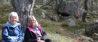 Tomtar får fristad i Hummelstad