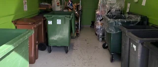 Här finns Sigtunas drömrena soprum