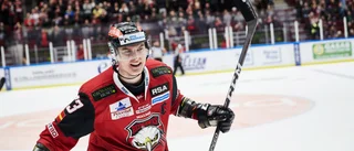 Malmös Händemark till San Jose