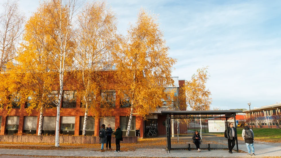 Sommartid finns chans att pröva på universitetets kortare kurser.