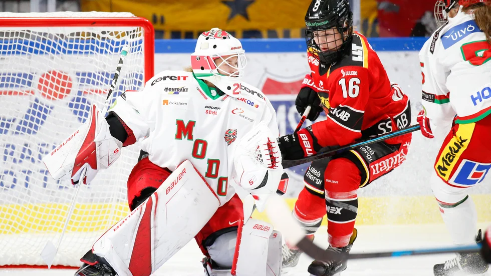 Luleå HF/MSSK möter Modo i sista grundseriematchen.