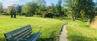 Nu får de unga sommarjobbarna arbete