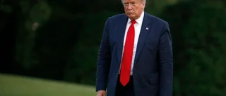 Vad driver Donald Trump?      