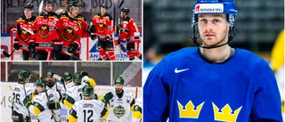 Wallmark: "Lider otroligt mycket med dem"